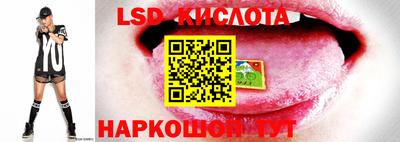 бошки Краснознаменск