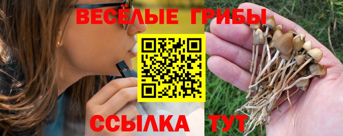 Дедовск  Галлюциногенные грибы ЛСД  Вход с VPN 